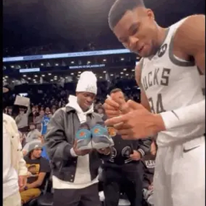 训练与习惯 训练与习惯