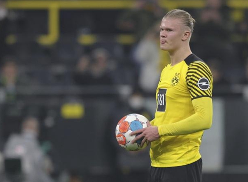 复苏与分化 复苏与分化