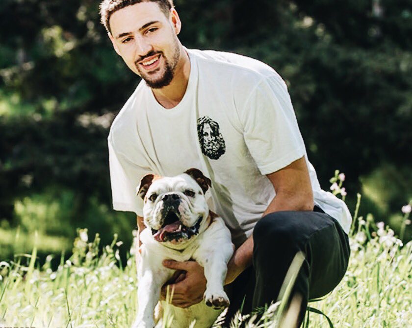 场景的处置 场景的处置